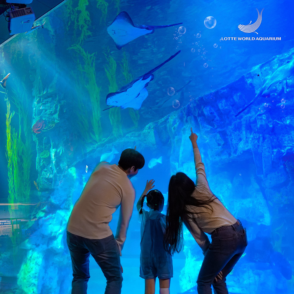 Lotte World Aquarium Tickets - Photo 1 of 5